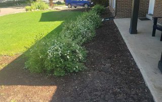 Arvada Landscaping