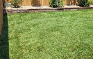 Arvada Landscaping